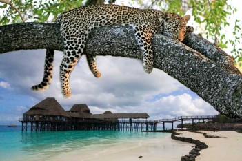  Zanzibāra, iepazīstam Āfiku!  Lidojums no Varšavas!