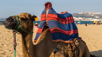 Hurgada. Piedāvājums 7.12.-14.12.2025.